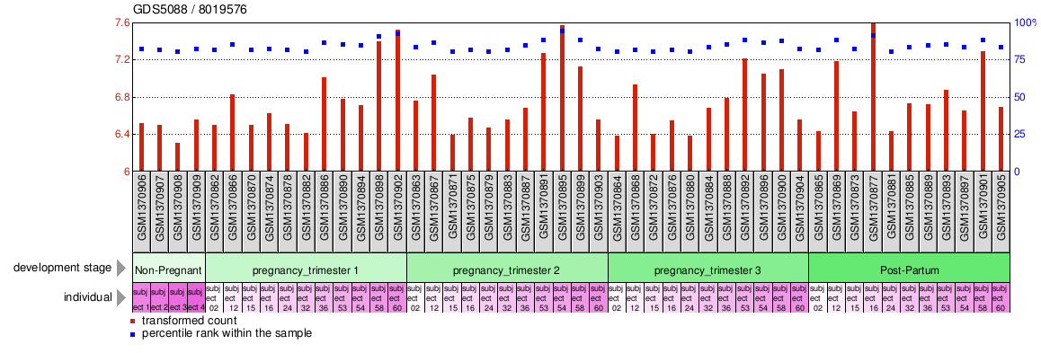 Gene Expression Profile