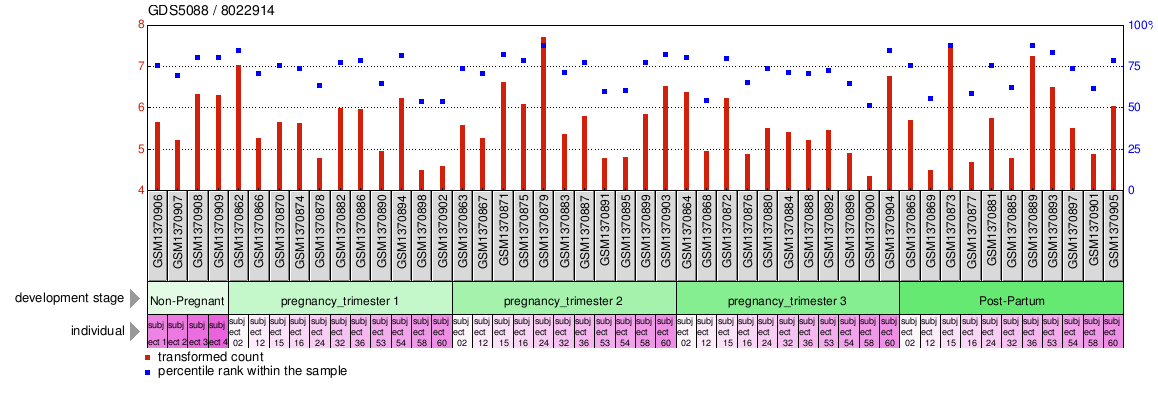 Gene Expression Profile