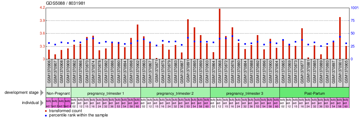 Gene Expression Profile