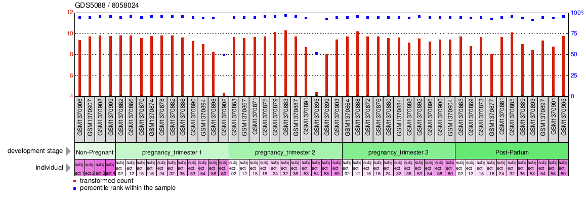 Gene Expression Profile