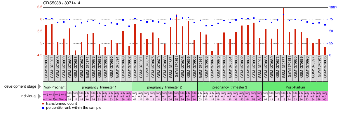 Gene Expression Profile