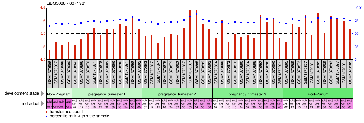 Gene Expression Profile