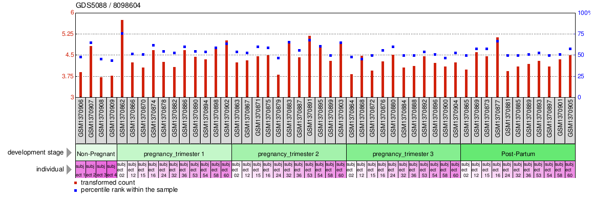 Gene Expression Profile