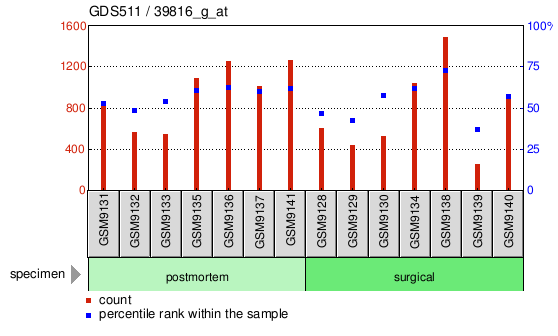 Gene Expression Profile