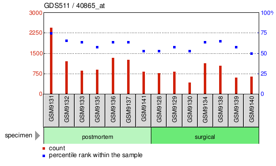 Gene Expression Profile