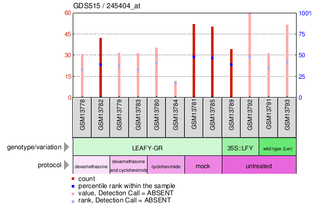 Gene Expression Profile