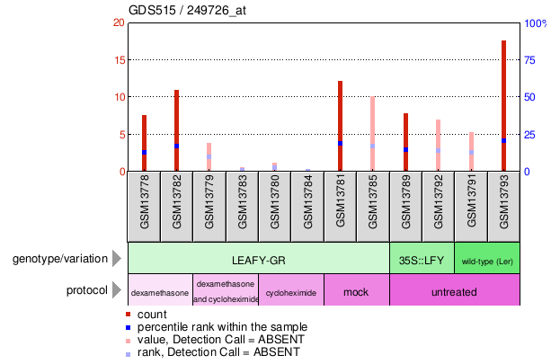 Gene Expression Profile