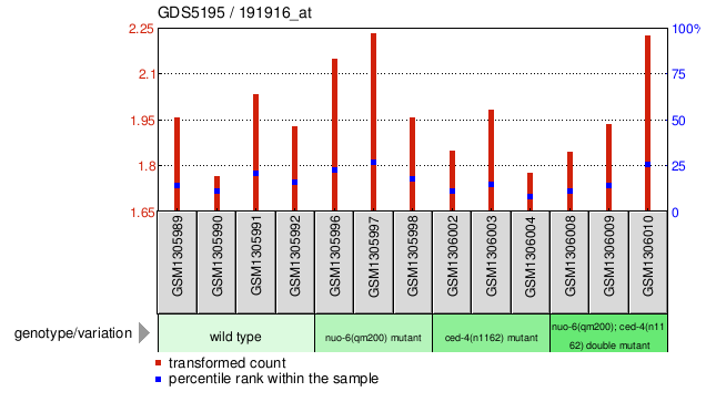 Gene Expression Profile