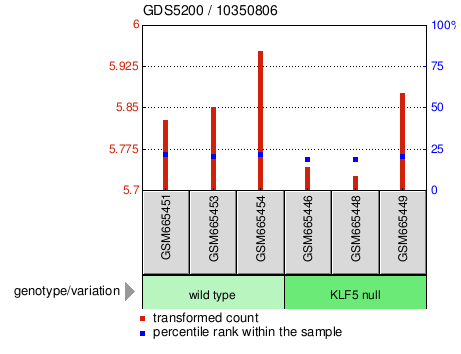 Gene Expression Profile