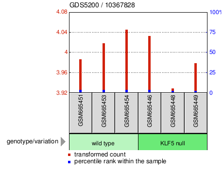 Gene Expression Profile