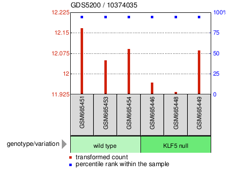 Gene Expression Profile