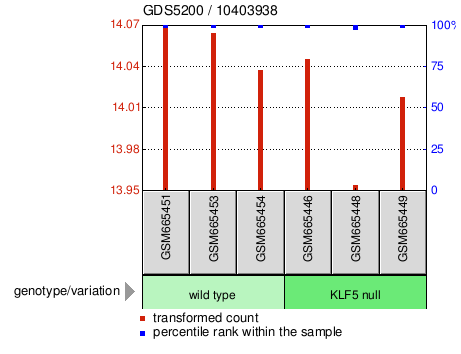 Gene Expression Profile