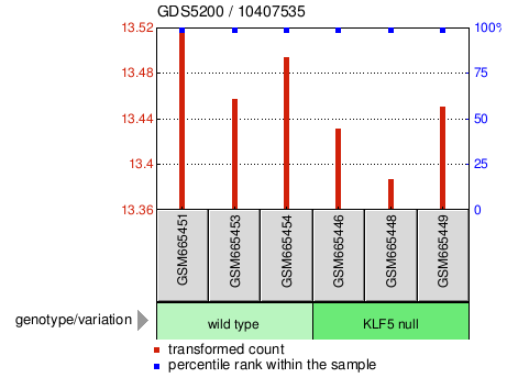 Gene Expression Profile