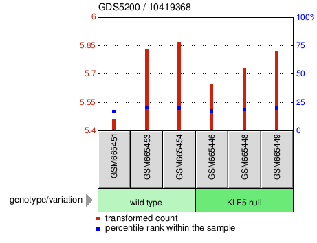 Gene Expression Profile