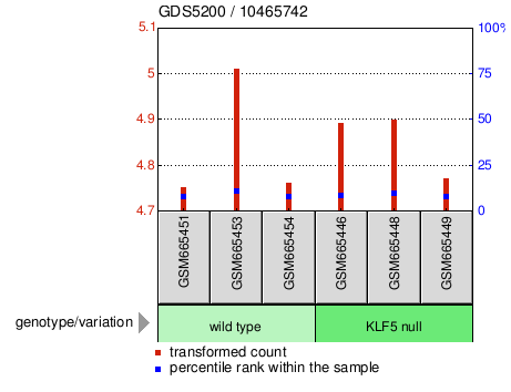 Gene Expression Profile