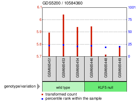 Gene Expression Profile