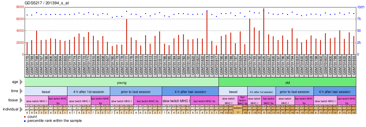 Gene Expression Profile