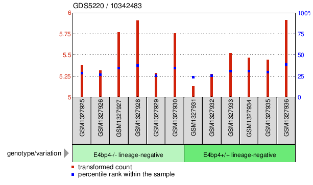 Gene Expression Profile