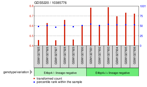 Gene Expression Profile