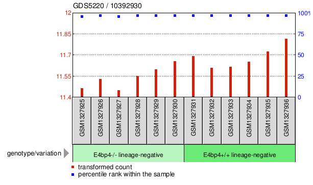 Gene Expression Profile