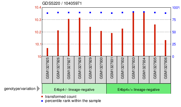 Gene Expression Profile