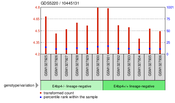 Gene Expression Profile