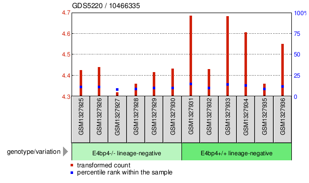 Gene Expression Profile