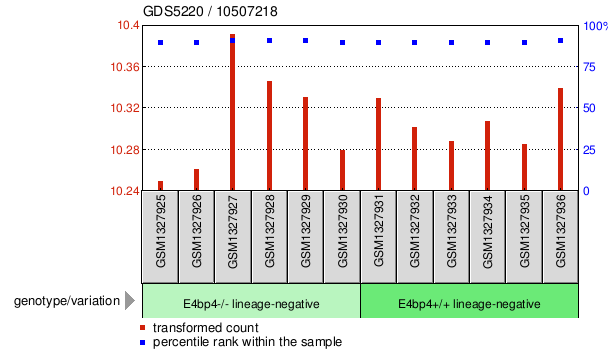 Gene Expression Profile