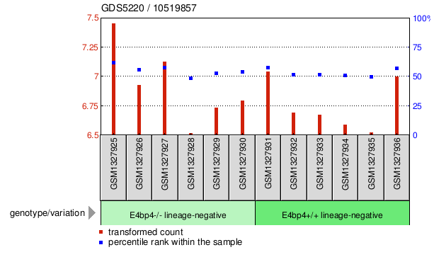 Gene Expression Profile