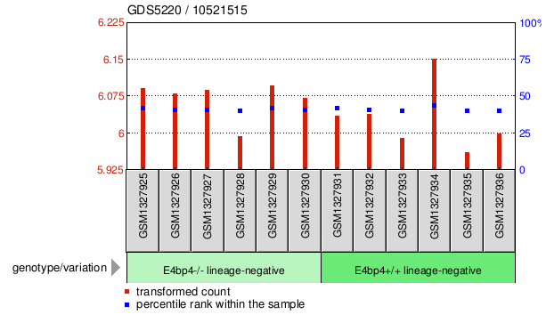 Gene Expression Profile