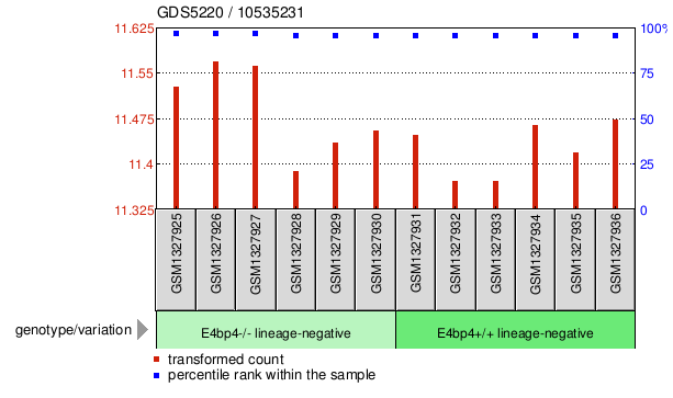 Gene Expression Profile