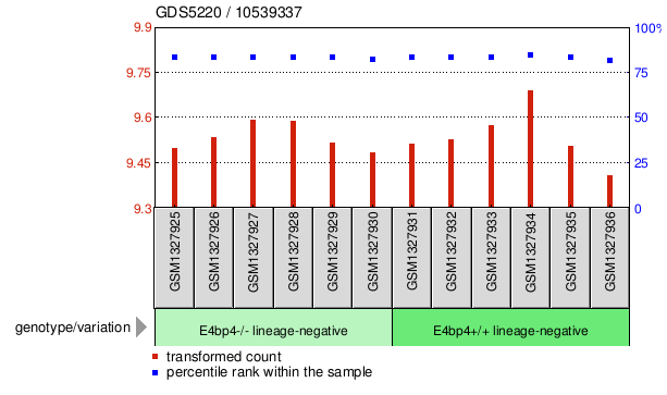 Gene Expression Profile