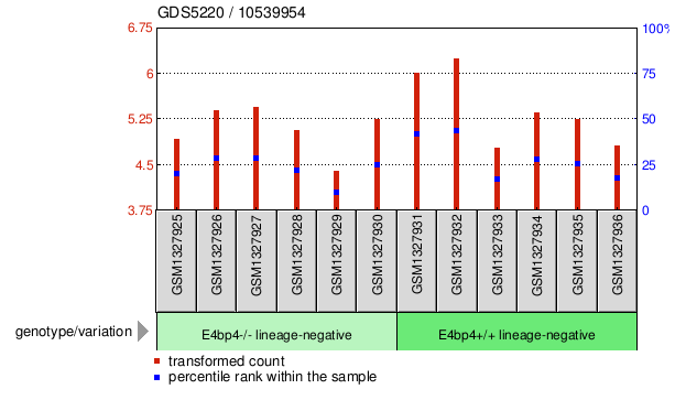 Gene Expression Profile