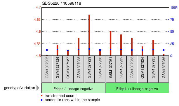 Gene Expression Profile