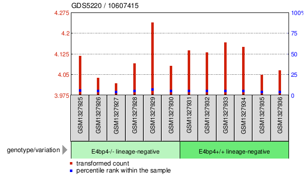 Gene Expression Profile