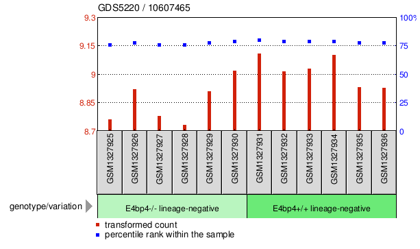 Gene Expression Profile