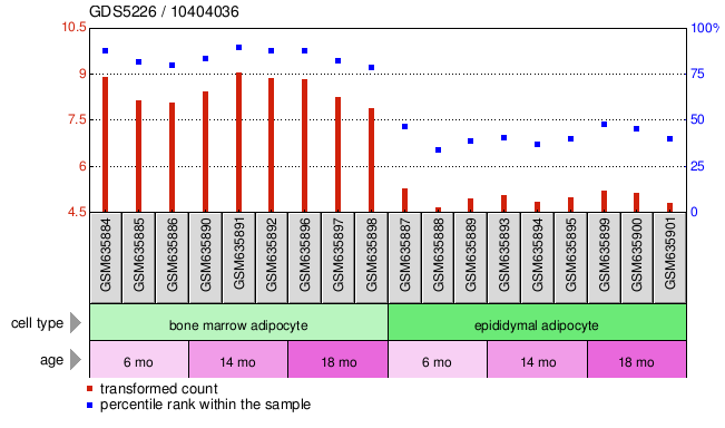 Gene Expression Profile