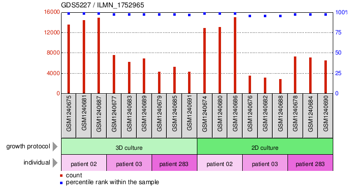 Gene Expression Profile