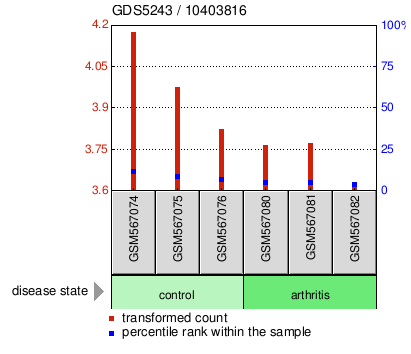 Gene Expression Profile