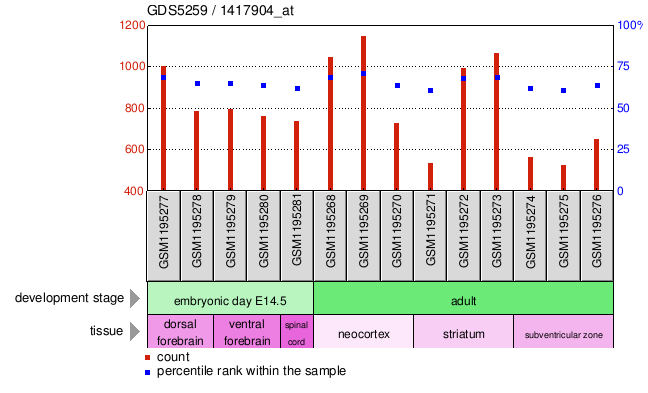 Gene Expression Profile