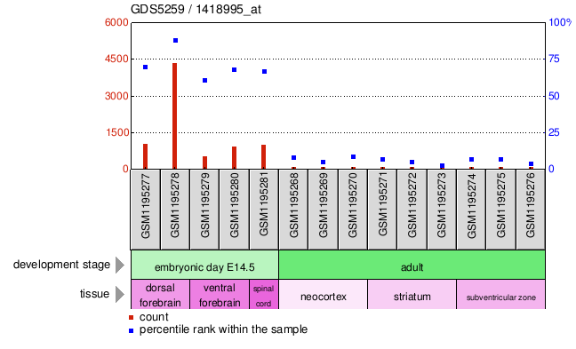 Gene Expression Profile