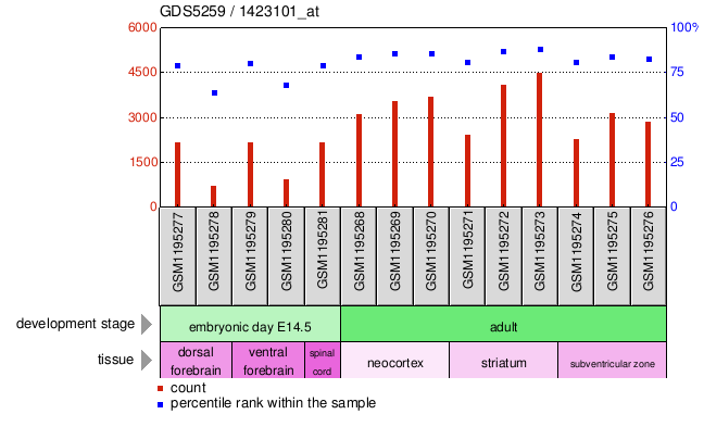 Gene Expression Profile