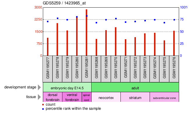 Gene Expression Profile