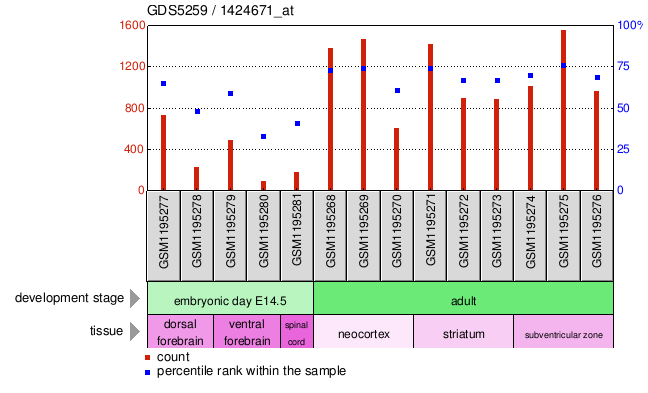 Gene Expression Profile