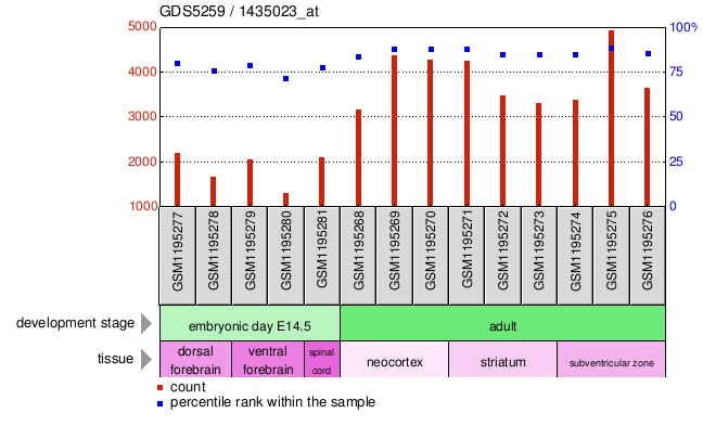 Gene Expression Profile