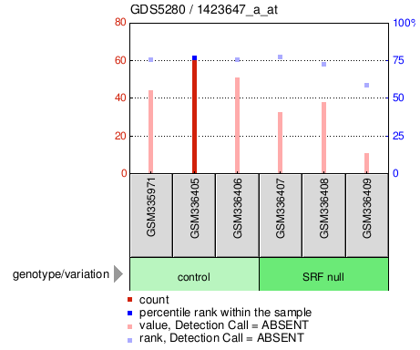 Gene Expression Profile