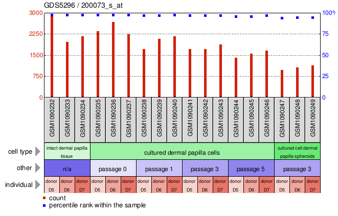 Gene Expression Profile