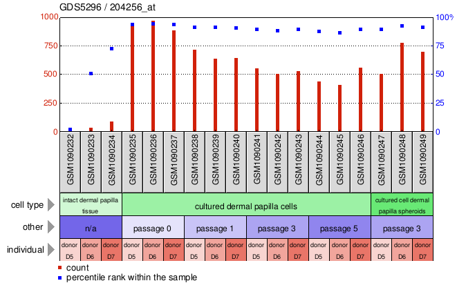 Gene Expression Profile