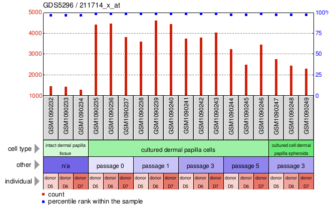 Gene Expression Profile