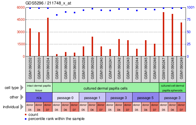 Gene Expression Profile